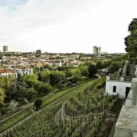 Cute With Gym, Rooftop Terraces And Laundry